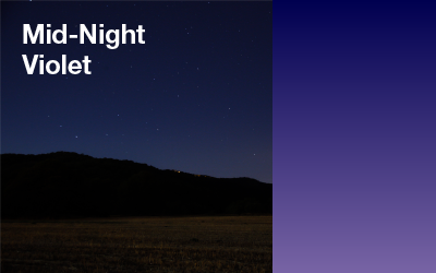Mid-Night Violet