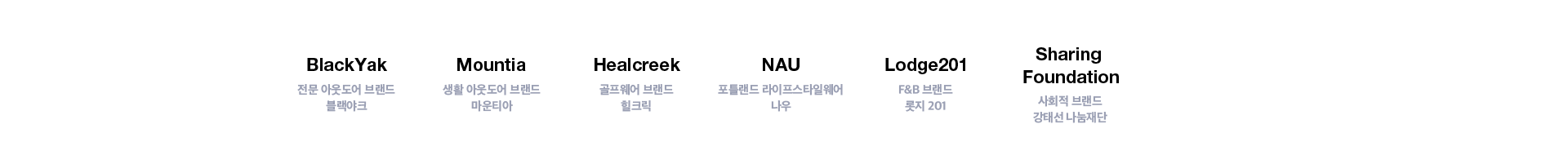 Blackyak - 전문 아웃도어 브랜드 블랙야크 / Mountia - 생활 아웃도어 브랜드 마운티아 / Healcreek - 골프웨어 브랜드 힐크릭 / Nau - 포틀랜드 라이프스타일웨어 나우 / Cafe Lodge - F&B 브랜드 롯지 201 / Sharing Foundation - 사회적 브랜드 강태선 나눔재단 / etc.