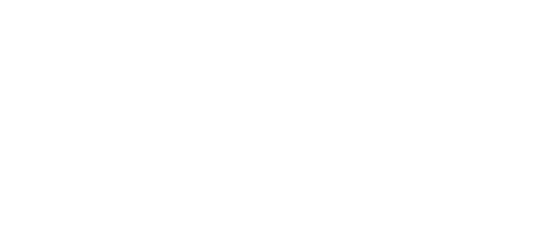 Logo System Image