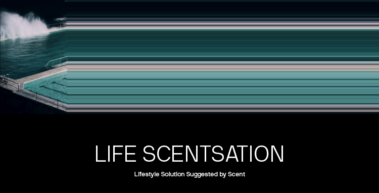 life scentsation 이미지