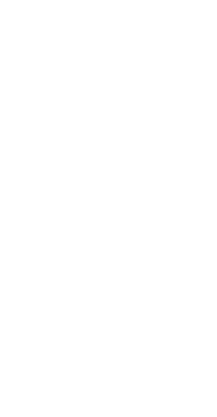 ARMY Logo