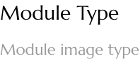 Module type: Mobile image type