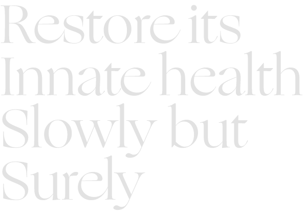 Restore its Innate health Slowly but surely