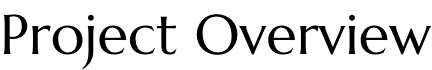 Project Overview