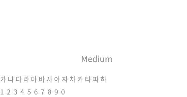 Noto Sans CJK KR Medium