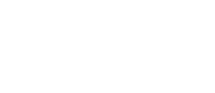 fossula graphic motif