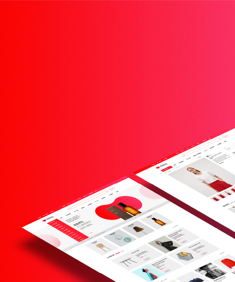 C. Brand Application System Image