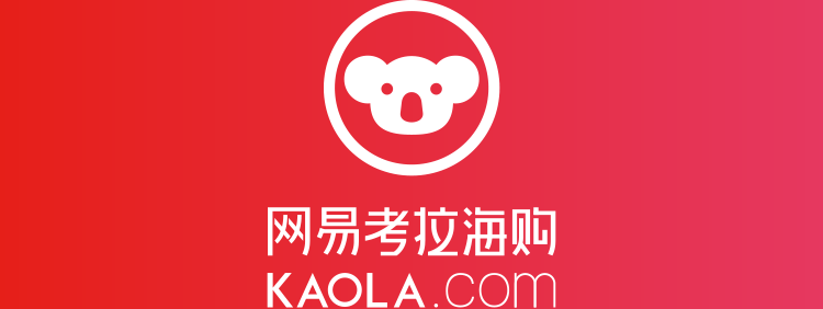 Logo System Image