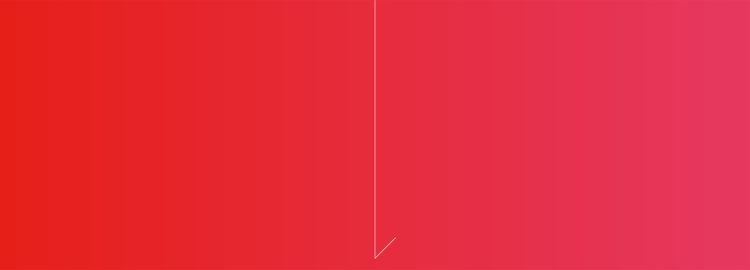 Logo System Image