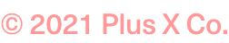 © 2021 Plus X Co.
